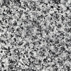 Untitiled, 2013, Acrylic on Canvas, 120x100cm,  - 1500 Euro -